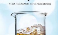 alkohol droger och hjärnan